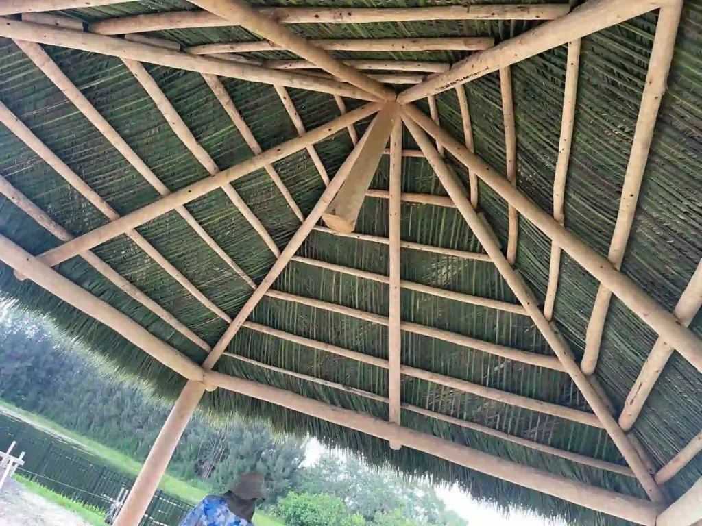 Interior view of a tiki hut with geometrical thatching support.